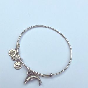 Dolphin Alex and ani